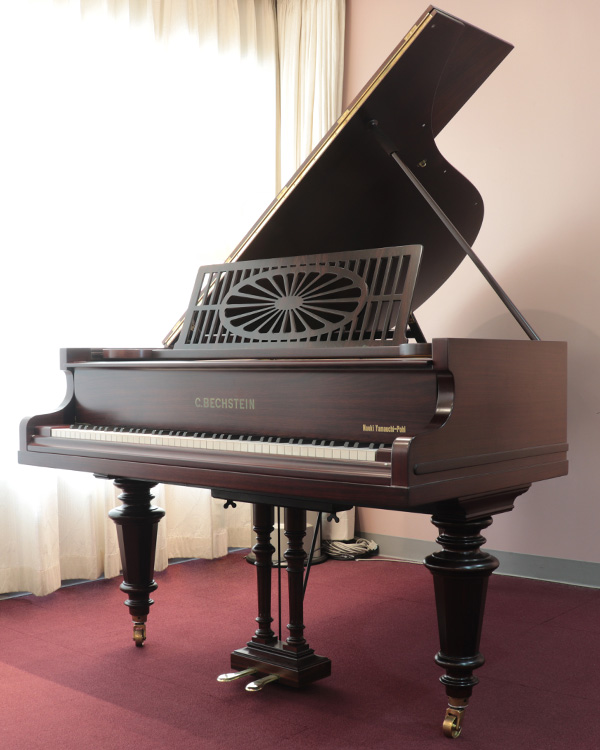 C.BECHSTEIN A189